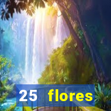 25 flores silvestres com nomes 25 flores silvestres desbravadores